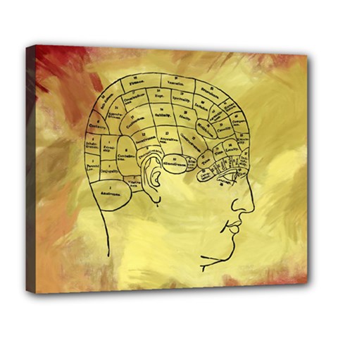 Brain Map Deluxe Canvas 24  X 20  (framed)