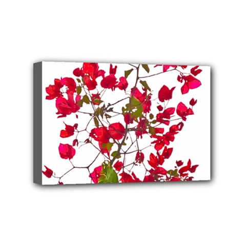 Red Petals Mini Canvas 6  X 4  (framed) by dflcprints