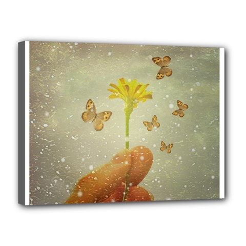 Butterflies Charmer Canvas 16  X 12  (framed) by dflcprints