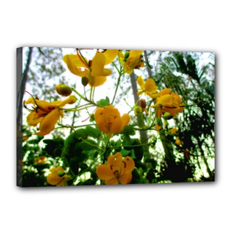 Yellow Flowers Canvas 18  X 12  (framed) by SaraThePixelPixie