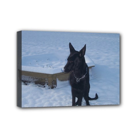 Snowy Gsd Mini Canvas 7  X 5  (framed) by StuffOrSomething