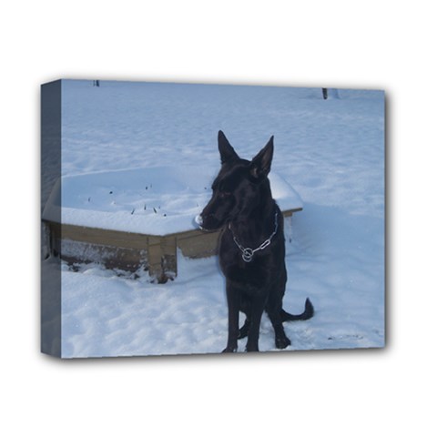 Snowy Gsd Deluxe Canvas 14  X 11  (framed) by StuffOrSomething