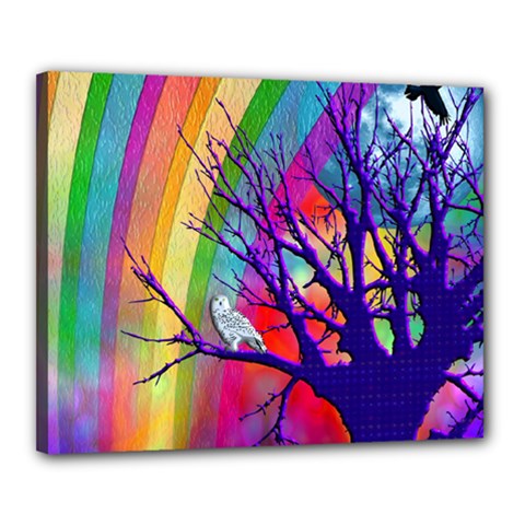 Rainbow Moon Canvas 20  X 16  (framed)