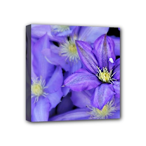 Purple Wildflowers For Fms Mini Canvas 4  X 4  (framed)