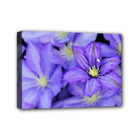 Purple Wildflowers For Fms Mini Canvas 7  X 5  (framed)