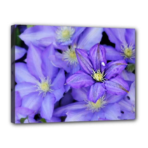 Purple Wildflowers For Fms Canvas 16  X 12  (framed)