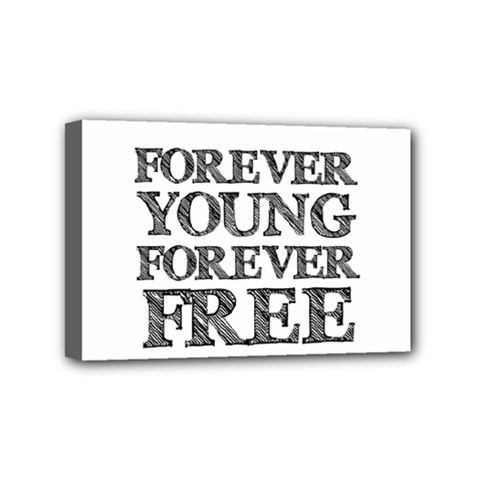 Forever Young Mini Canvas 6  X 4  (framed)