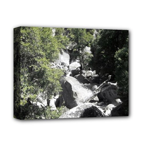 Yosemite National Park Deluxe Canvas 14  X 11  (stretched)