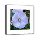 Moon Flower Mini Canvas 6  x 6  (Framed) View1