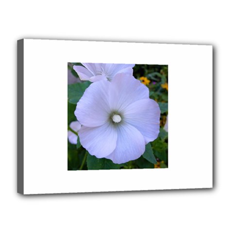 Moon Flower Canvas 16  X 12  (framed)