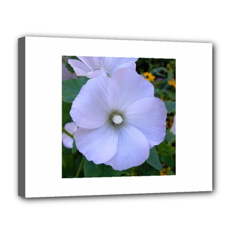 Moon Flower Canvas 14  X 11  (framed)