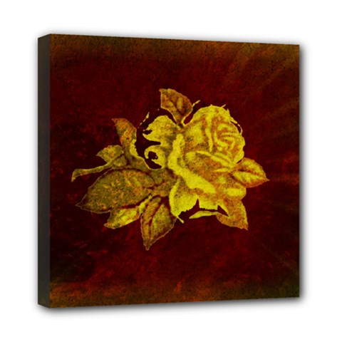 Rose Mini Canvas 8  X 8  (framed) by ankasdesigns