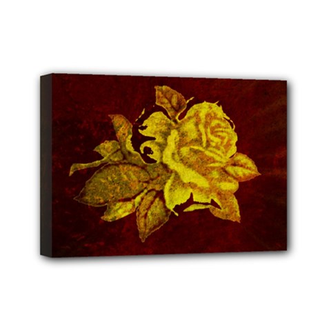 Rose Mini Canvas 7  X 5  (framed) by ankasdesigns