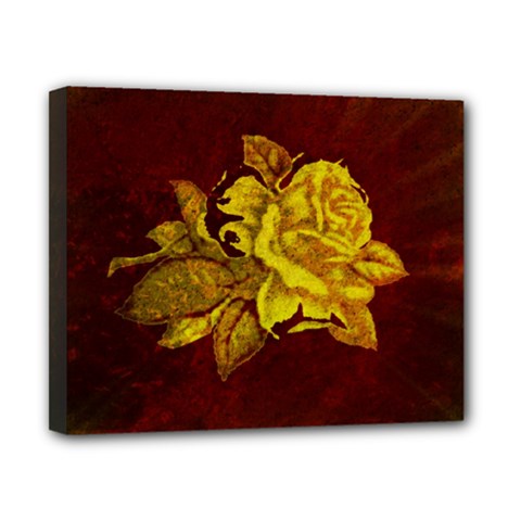 Rose Canvas 10  X 8  (framed) by ankasdesigns