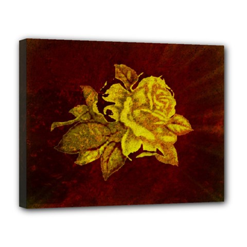 Rose Canvas 14  X 11  (framed) by ankasdesigns