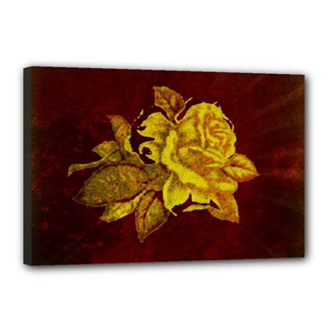 Rose Canvas 18  X 12  (framed) by ankasdesigns