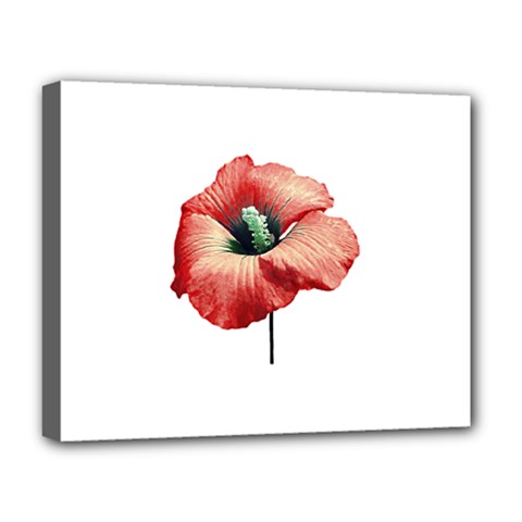 Your Flower Perfume Deluxe Canvas 20  X 16  (framed) by dflcprints