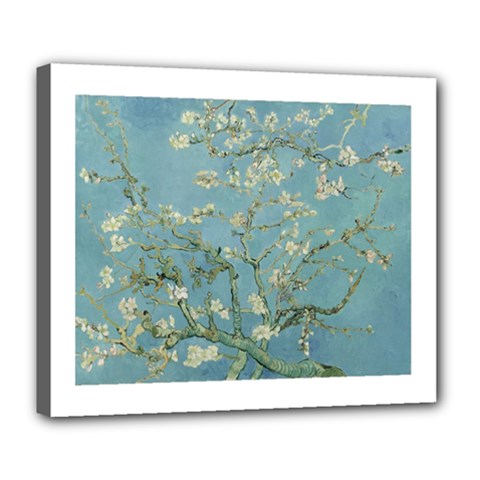 Vincent Van Gogh, Almond Blossom Deluxe Canvas 24  X 20  (framed) by Oldmasters