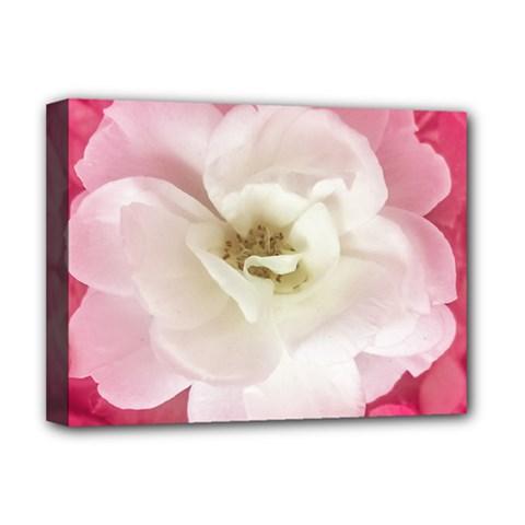 White Rose With Pink Leaves Around  Deluxe Canvas 16  X 12  (framed)  by dflcprints