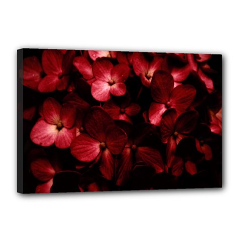 Red Flowers Bouquet In Black Background Photography Canvas 18  X 12  (framed) by dflcprints