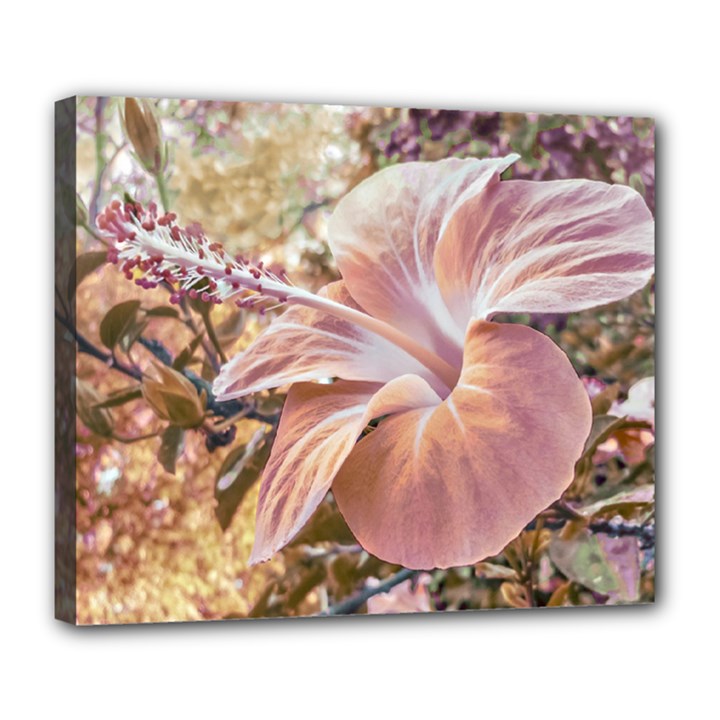 Fantasy Colors Hibiscus Flower Digital Photography Deluxe Canvas 24  x 20  (Framed)