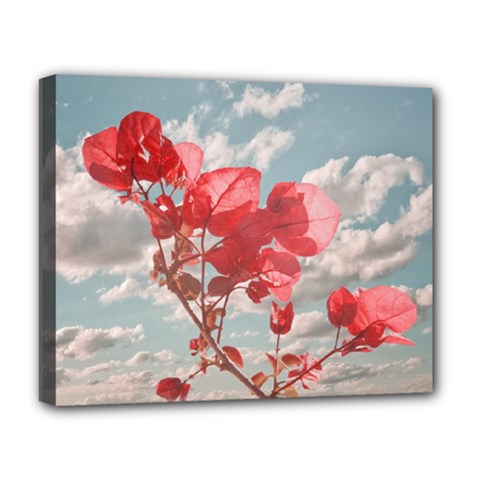 Flowers In The Sky Deluxe Canvas 20  X 16  (framed) by dflcprints