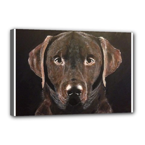 Chocolate Lab Canvas 18  X 12  (framed)