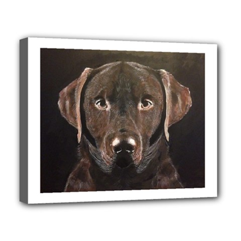 Chocolate Lab Deluxe Canvas 20  X 16  (framed) by LabsandRetrievers