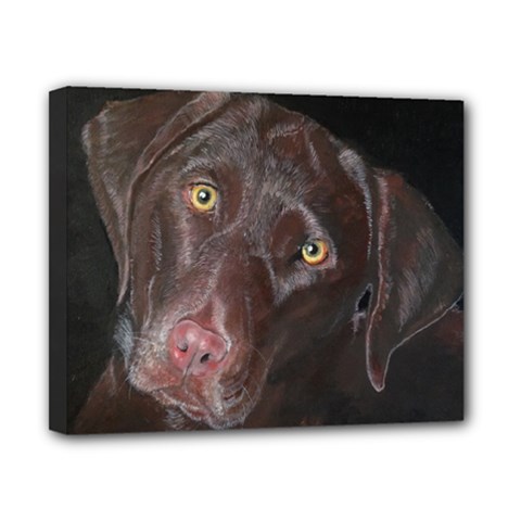 Inquisitive Chocolate Lab Canvas 10  X 8  (framed)