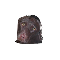 Inquisitive Chocolate Lab Drawstring Pouch (small)