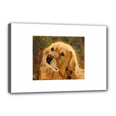 Golden Retriever Canvas 18  X 12  (framed)