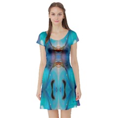 Melting Of Me By Saprillika Short Sleeved Skater Dress by saprillika