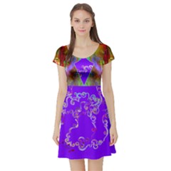 Shield By Saprillika Short Sleeved Skater Dress by saprillika