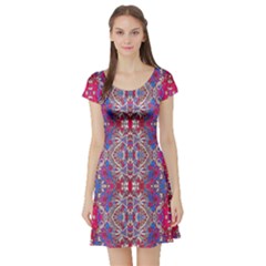 Colorful Ornate Decorative Pattern Short Sleeved Skater Dress by dflcprintsclothing