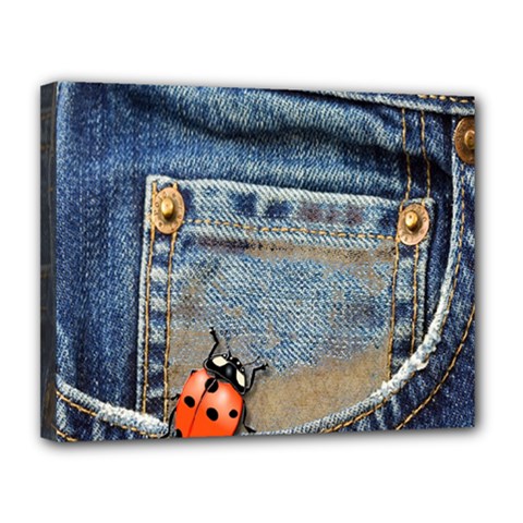 Blue Jean Lady Bug Canvas 14  X 11  (framed)