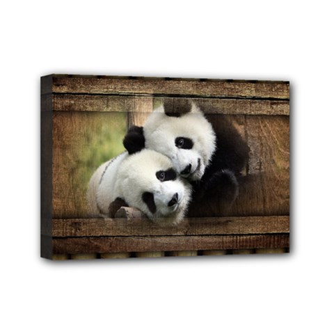 Panda Love Mini Canvas 7  X 5  (framed)