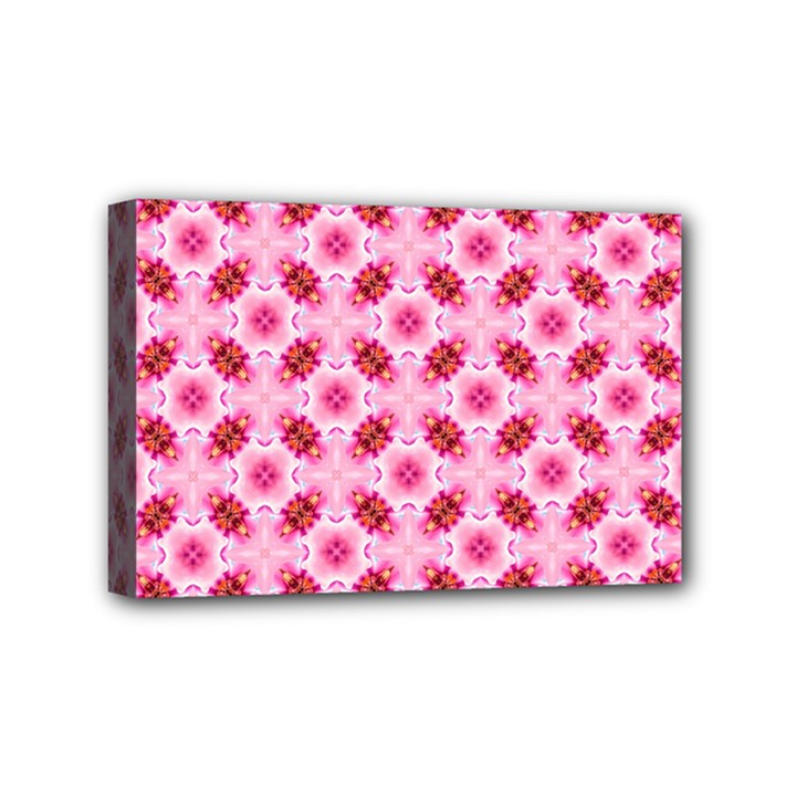 Cute Pretty Elegant Pattern Mini Canvas 6  x 4  (Framed)