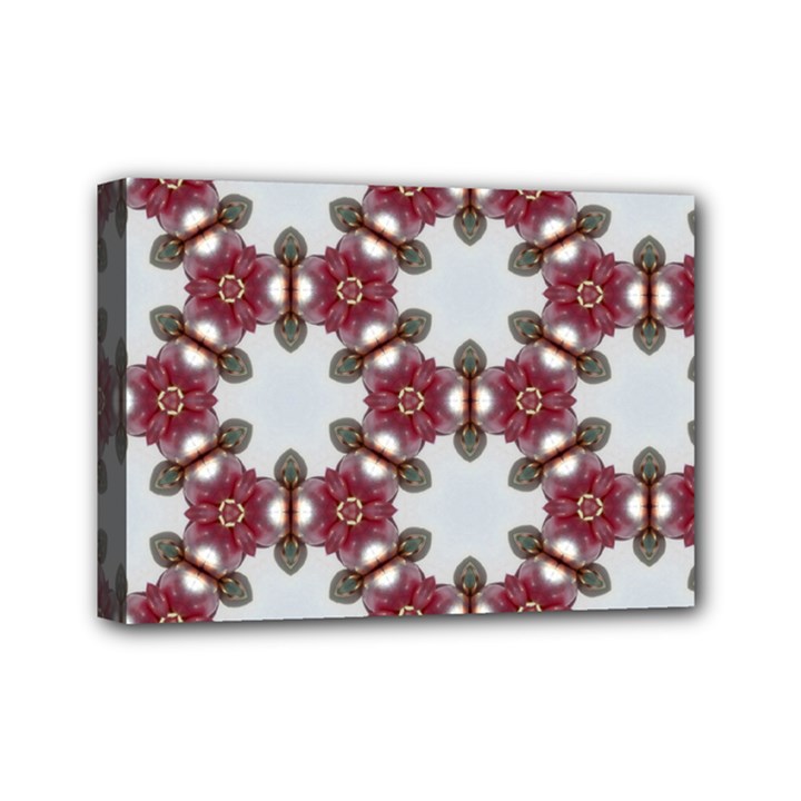 Cute Pretty Elegant Pattern Mini Canvas 7  x 5  (Framed)