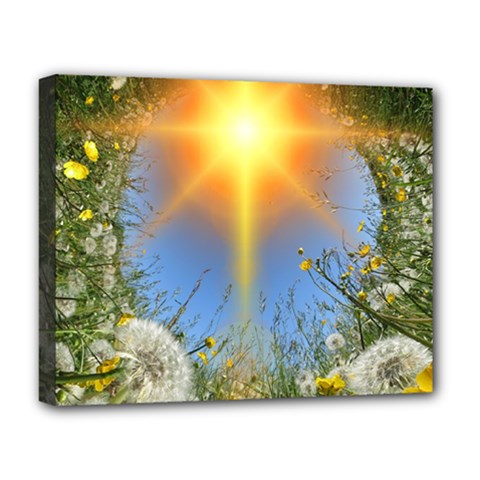 Dandelions Deluxe Canvas 20  X 16  (framed) by boho