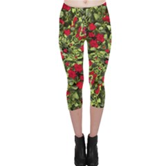 Floral Collage Print Capri Leggings 