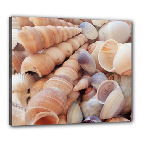 Sea Shells Canvas 24  X 20  (framed)