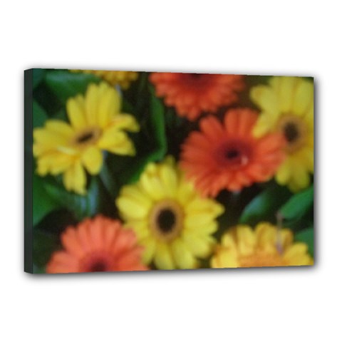 Orange Yellow Daisy Flowers Gerbera Canvas 18  X 12  (framed)