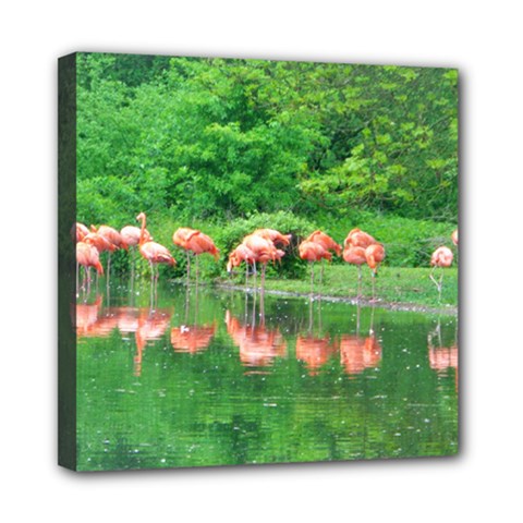 Flamingo Birds At Lake Mini Canvas 8  X 8  (framed)