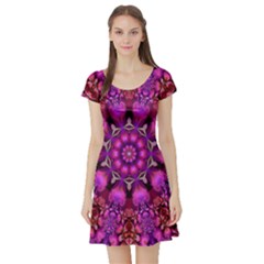 Pink Fractal Kaleidoscope  Short Sleeve Skater Dress