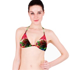 Summer Time Bikini Top by icarusismartdesigns