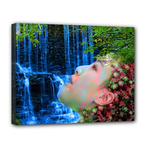 Fountain Of Youth Canvas 14  X 11  (framed) by icarusismartdesigns