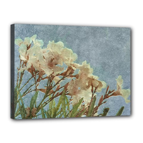 Floral Grunge Vintage Photo Canvas 16  X 12  (framed) by dflcprints