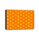 Cute Pretty Elegant Pattern Mini Canvas 6  x 4  View1