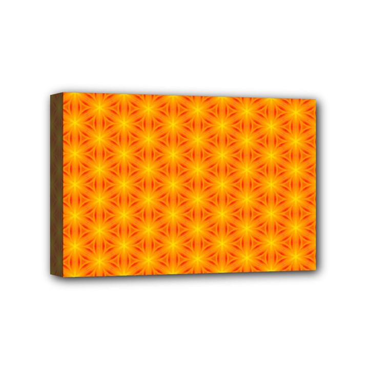 Cute Pretty Elegant Pattern Mini Canvas 6  x 4 