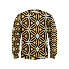 Faux Animal Print Pattern Boys  Sweatshirts